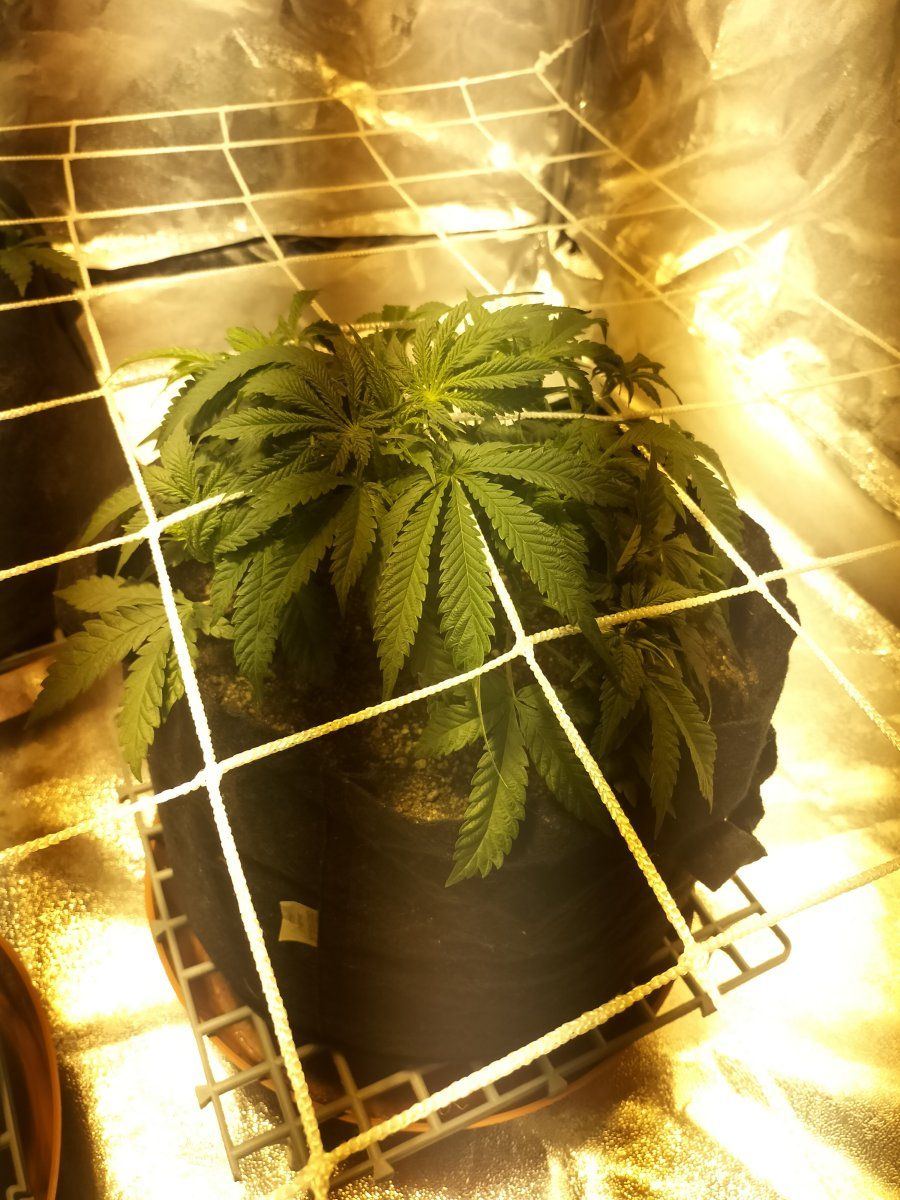 Day 34 2 2