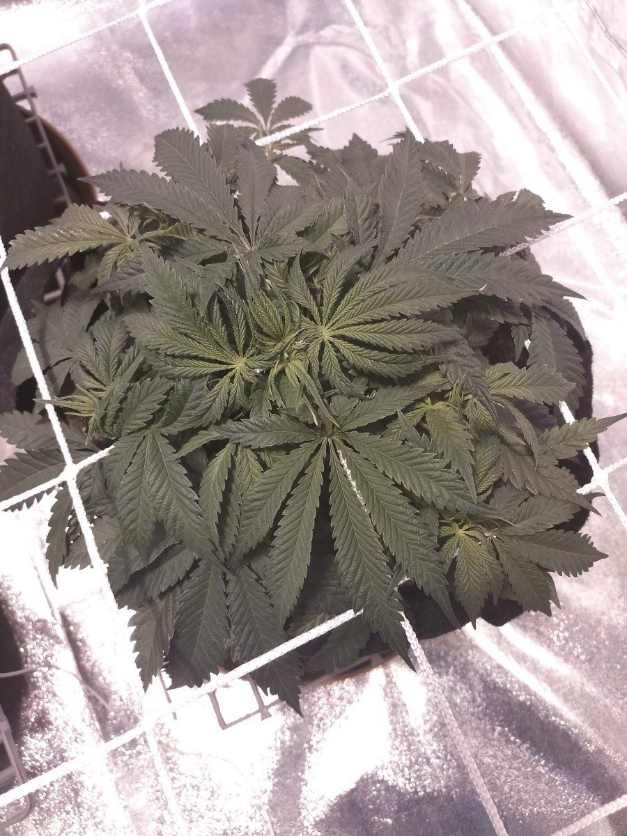 Day 34 2