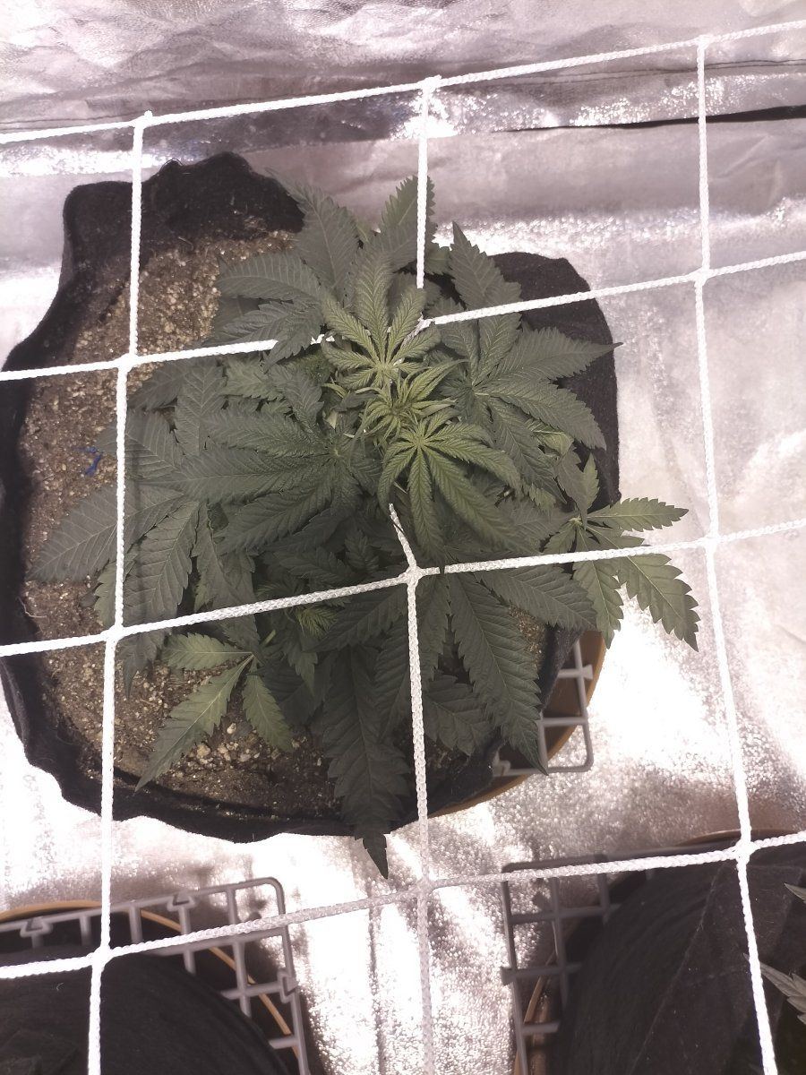 Day 34 3
