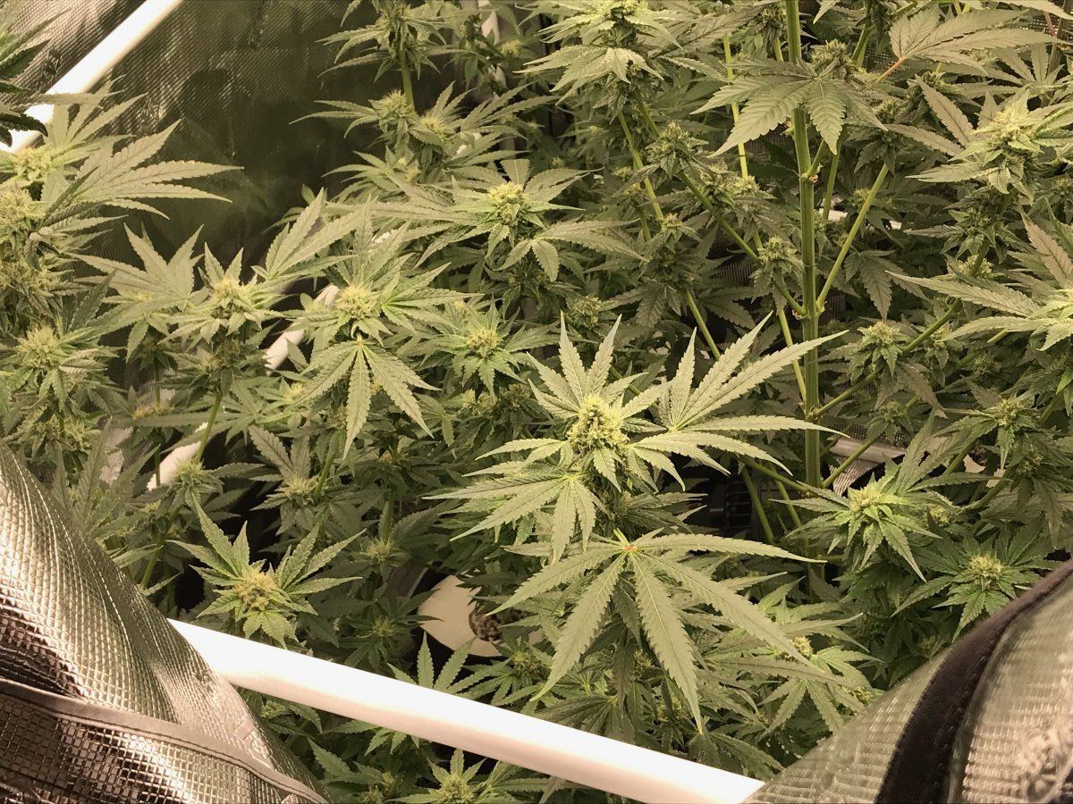 Day 37 1