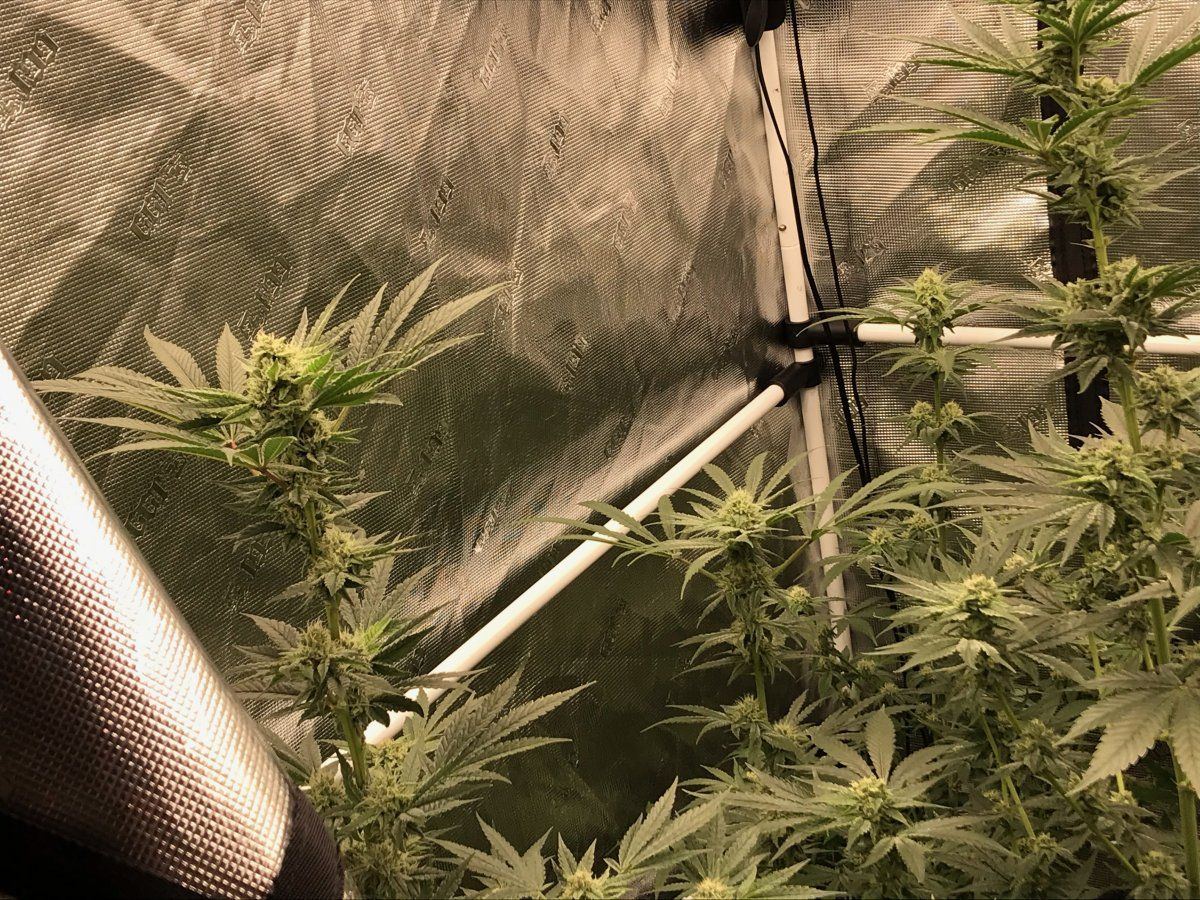 Day 37 2