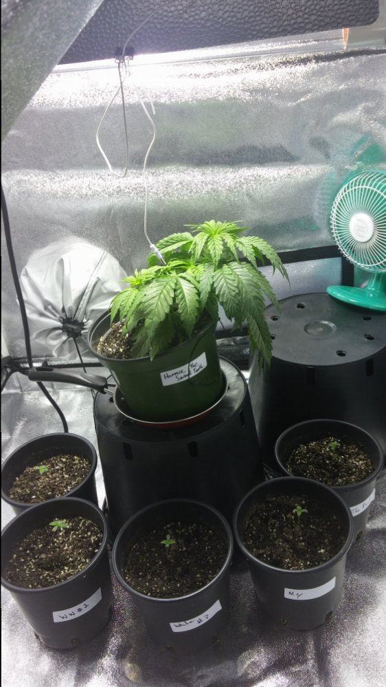 Day 4