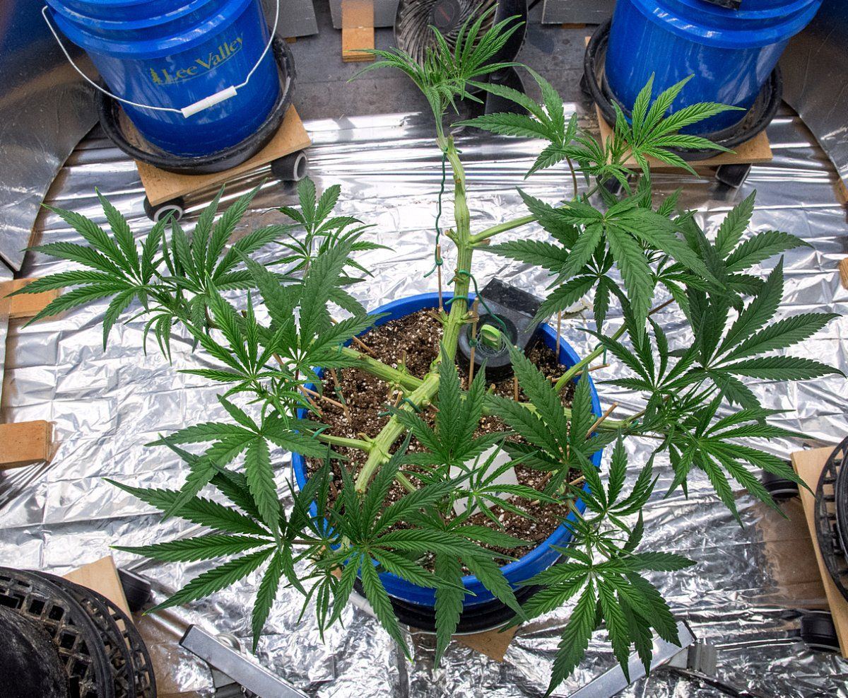 Day 41 MW 27 Oct