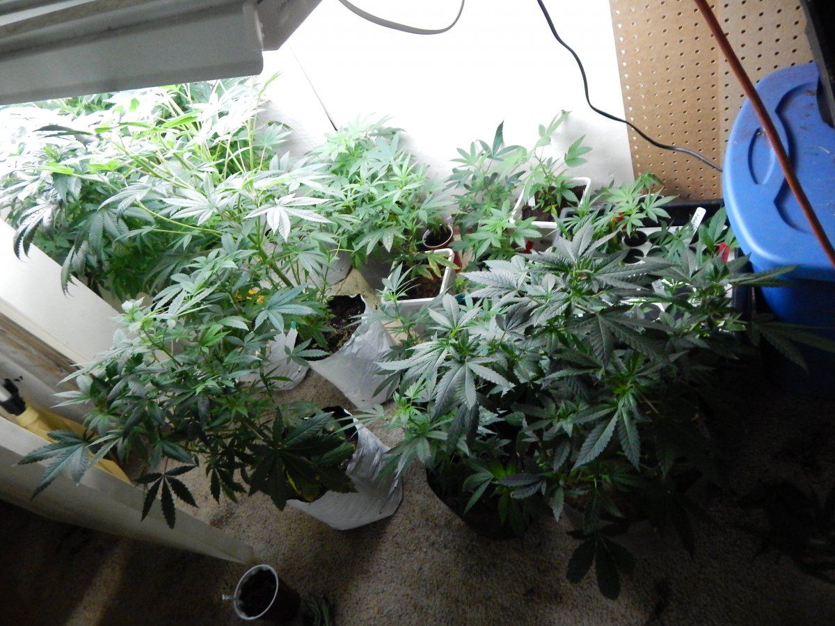 Day 45 019