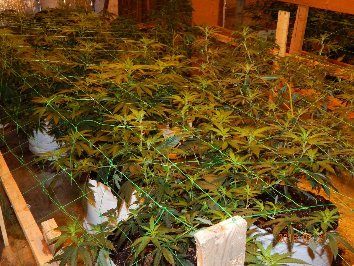 Day 5 004