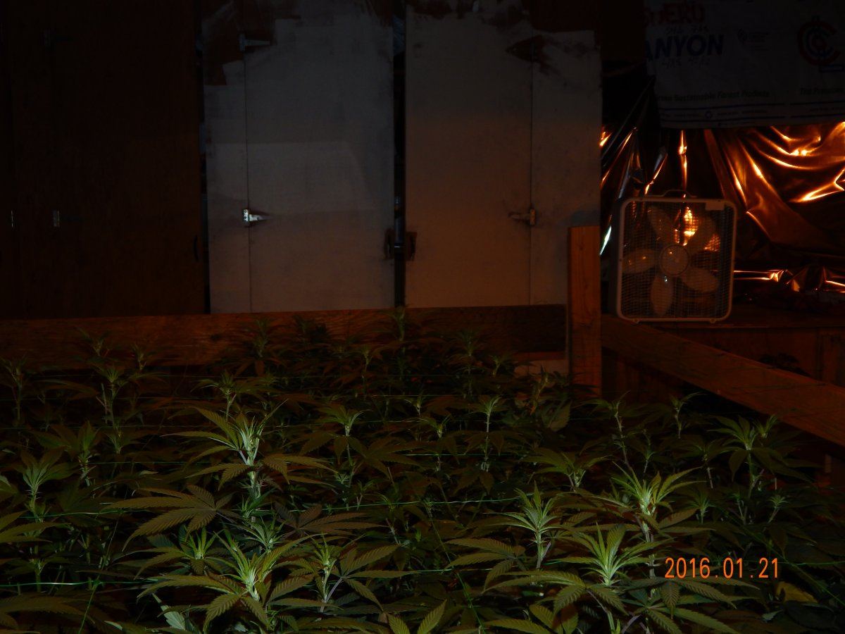Day 5 008
