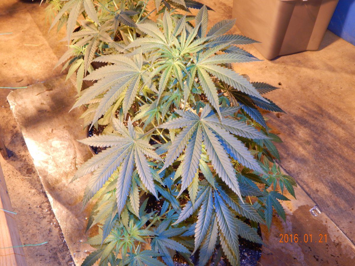 Day 5 012