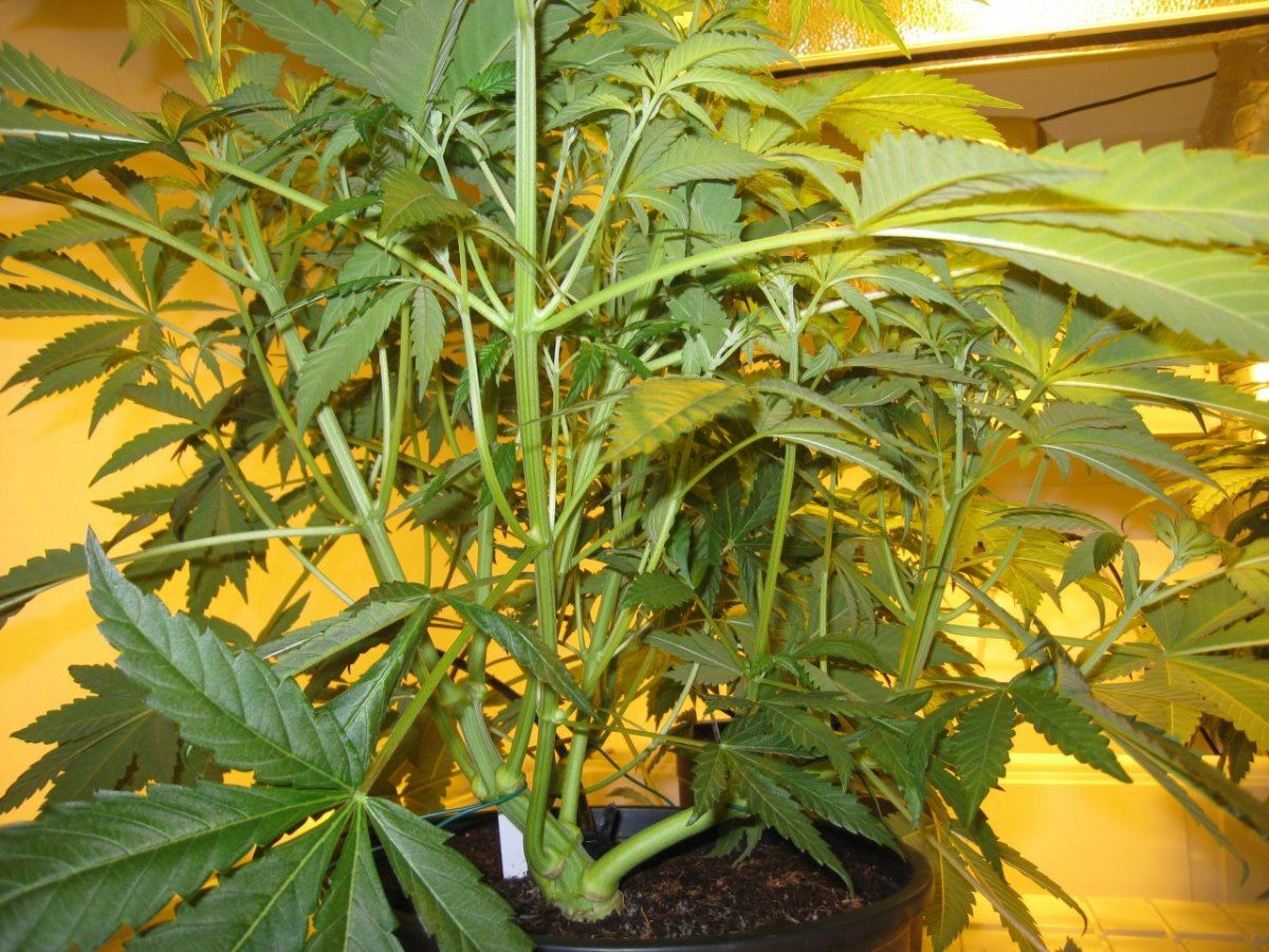 Day 6 WS6