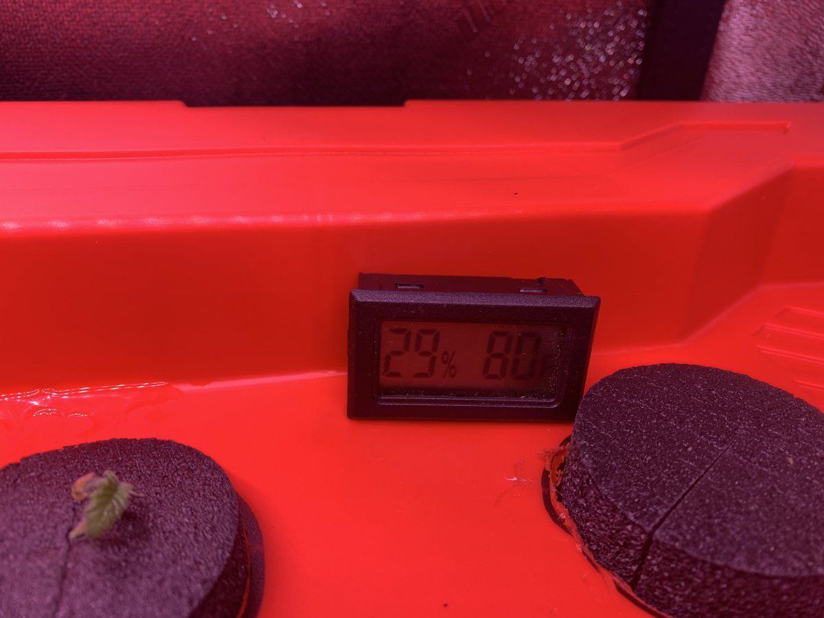 Day 7 4