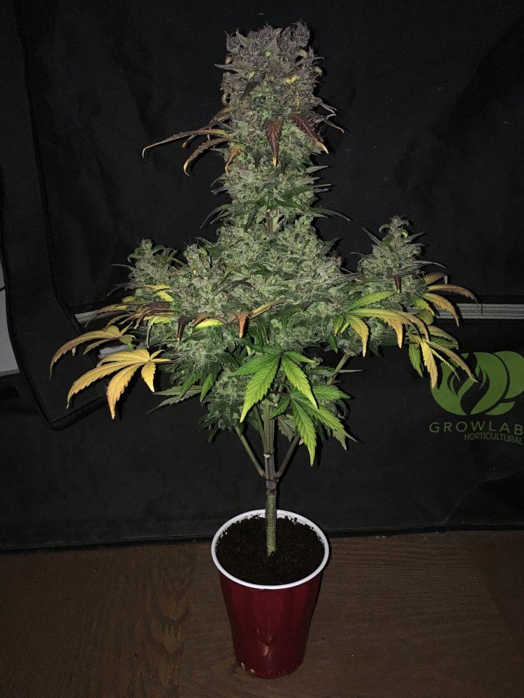 Day 841