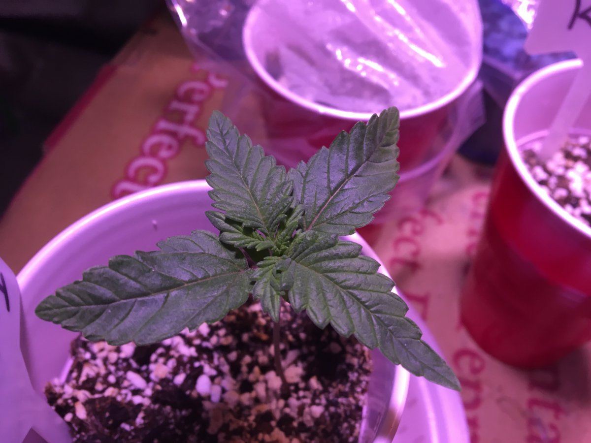 Day 9
