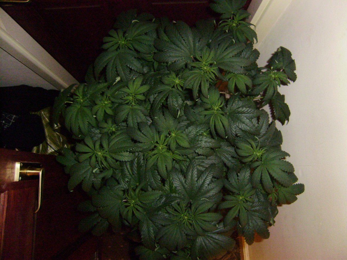 Day 9 pics 005