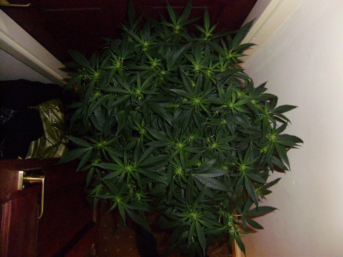 Day 9 pics 008