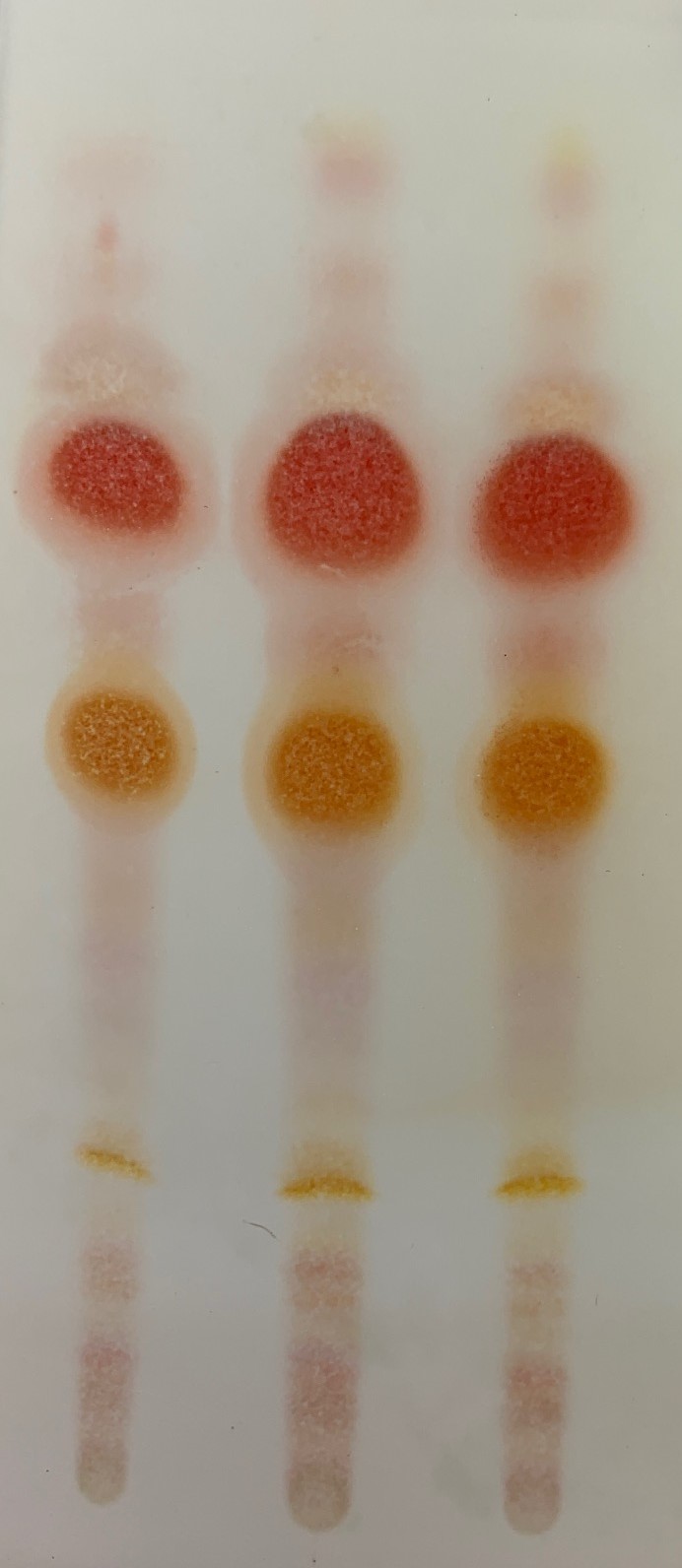 Day 9 TLC UV