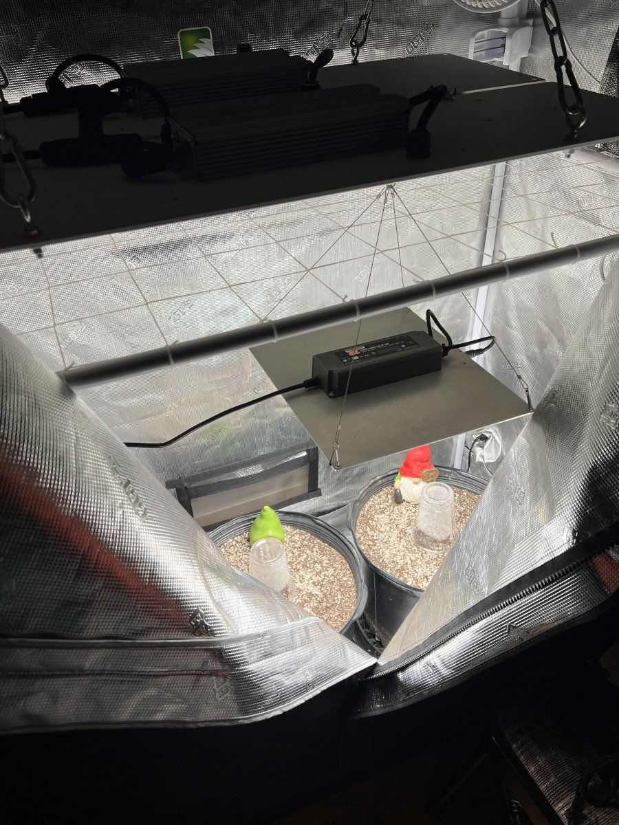 Day1 grow