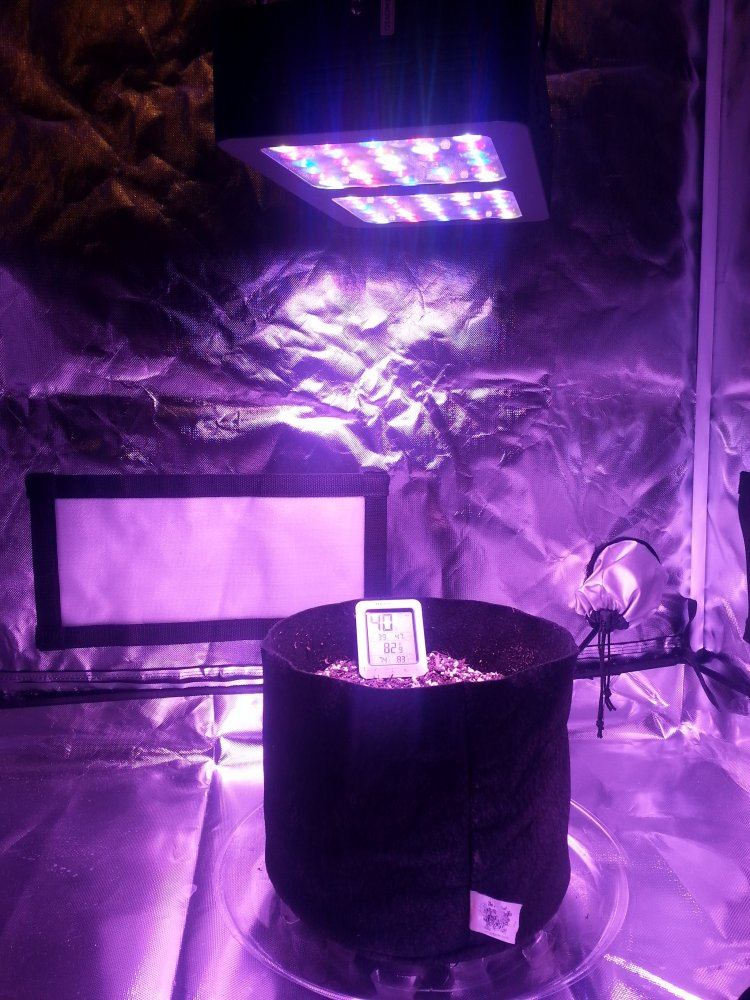 Day13tent