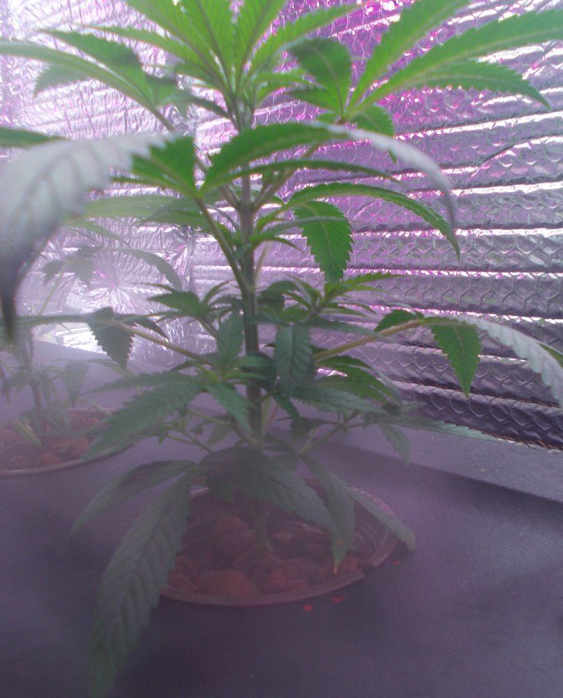 Day1 2