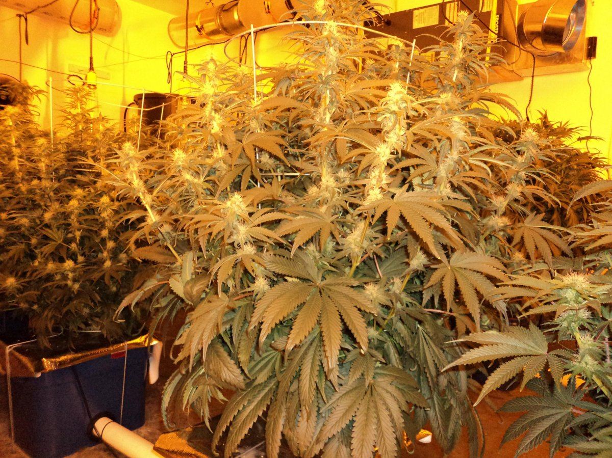 DAY27 009