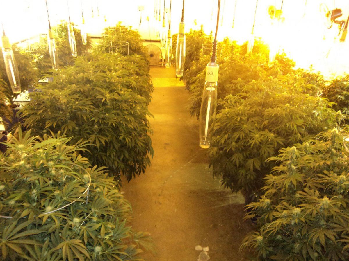 DAY27 021