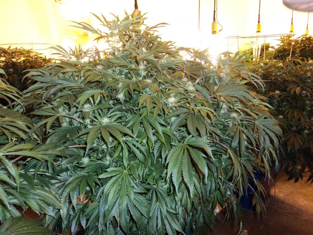 DAY27 022