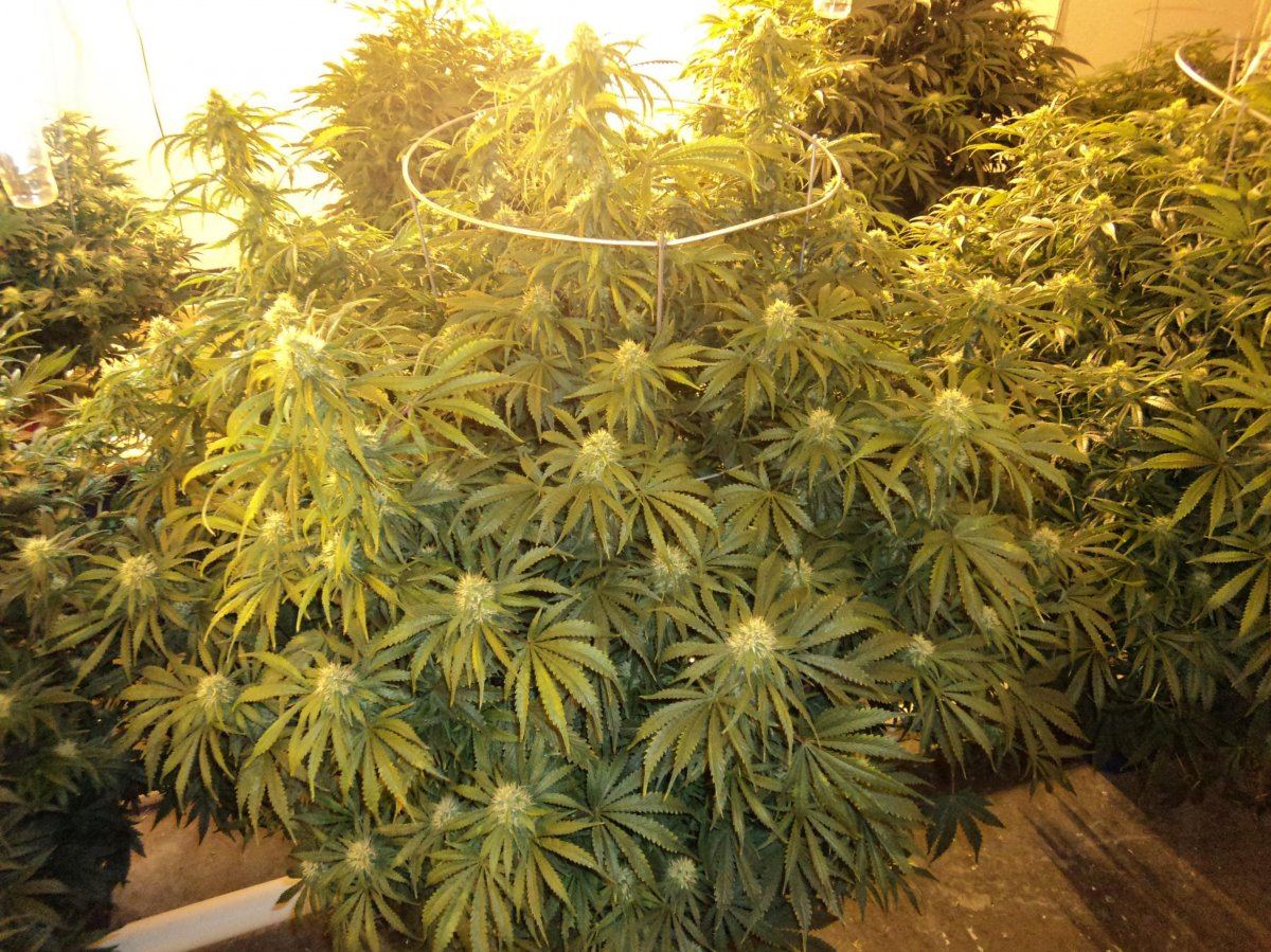 DAY27 023