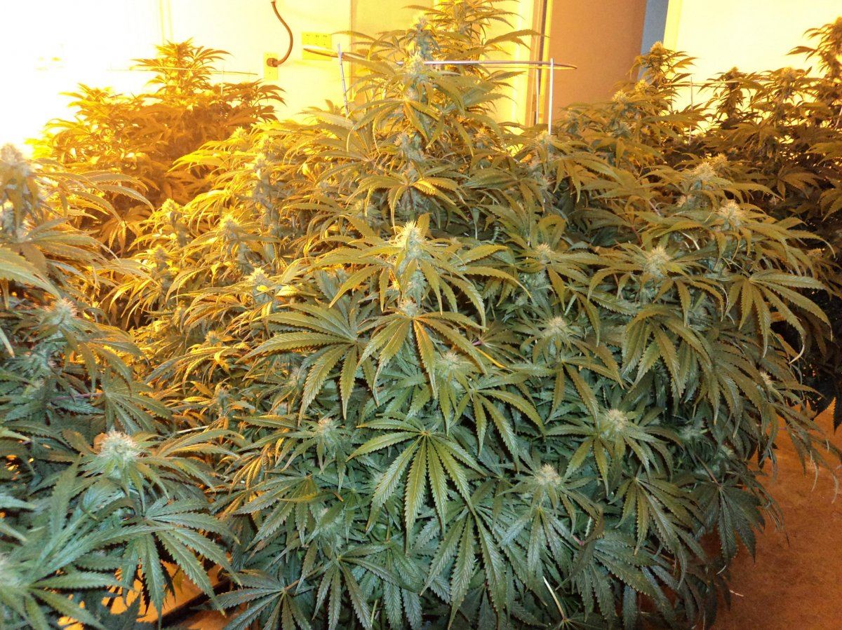 DAY27 024