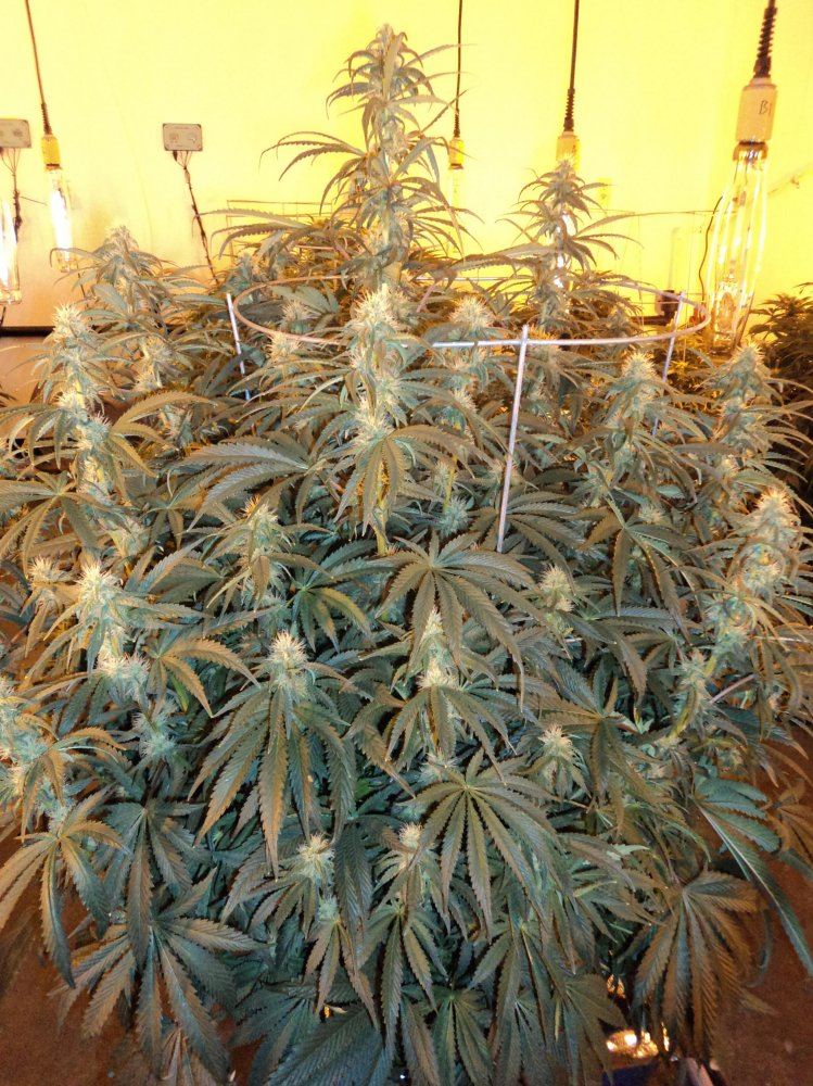 DAY27 025