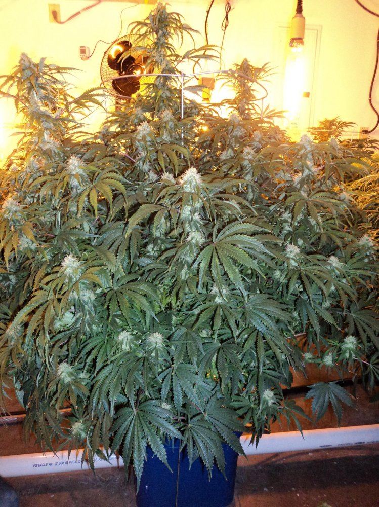 DAY27 027
