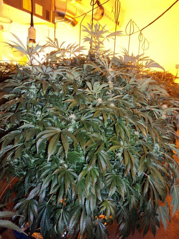 DAY27 028