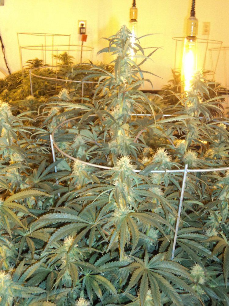DAY27 032