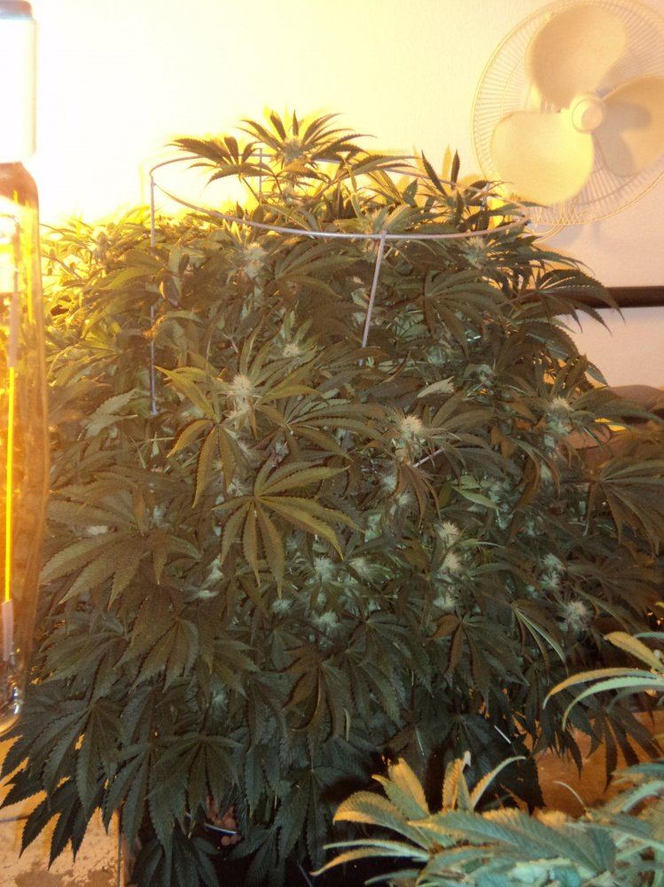 DAY27 033