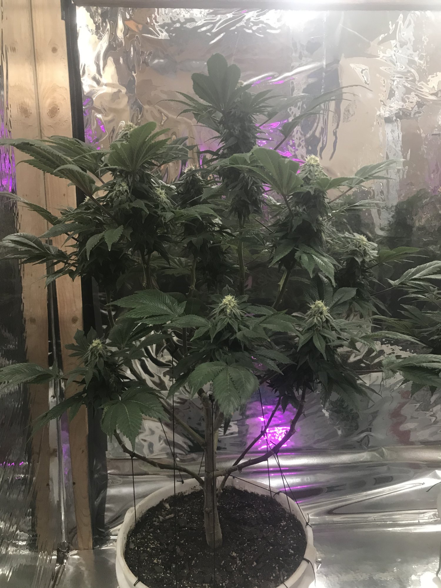 Day32 1