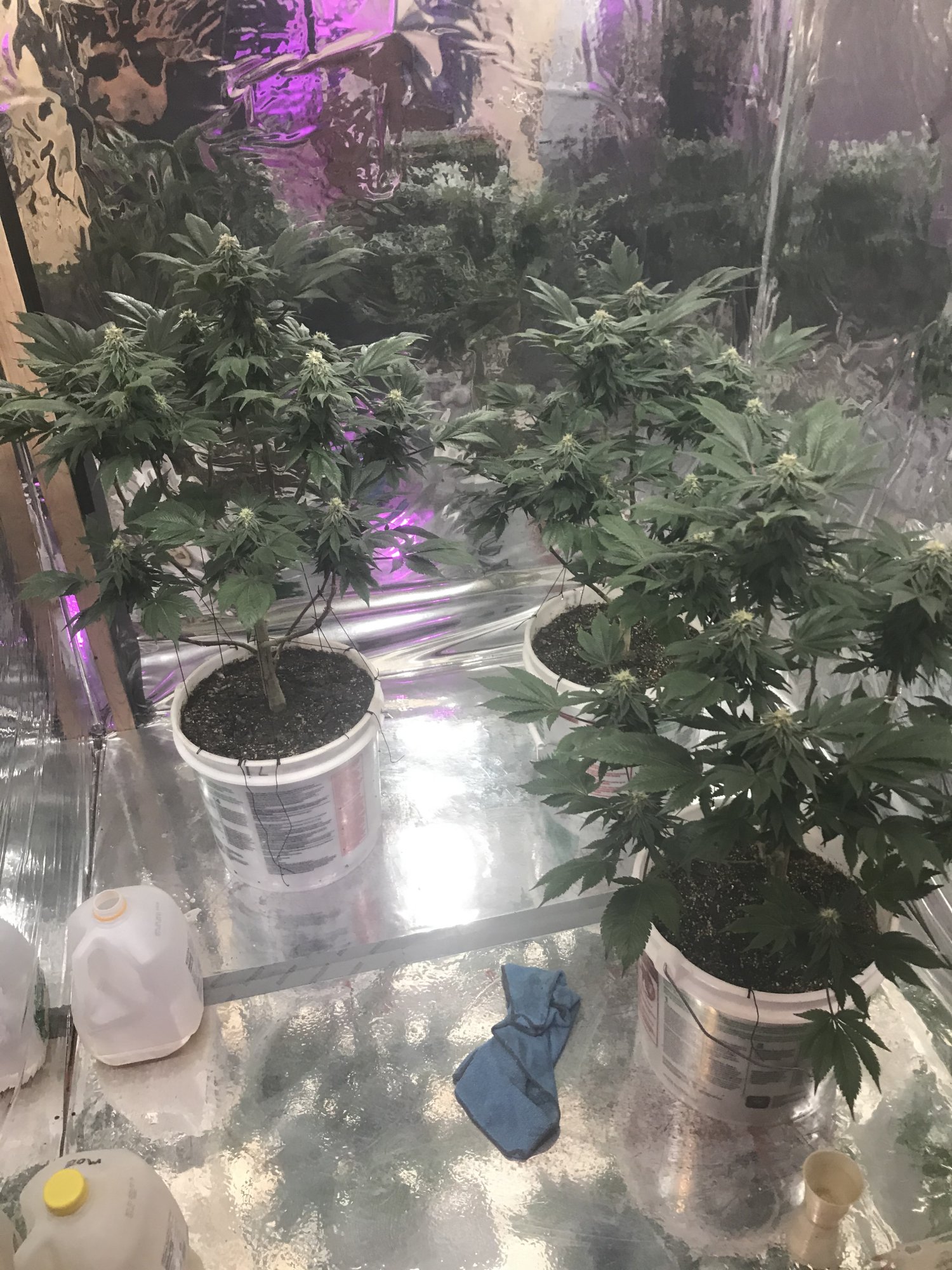 Day32 2
