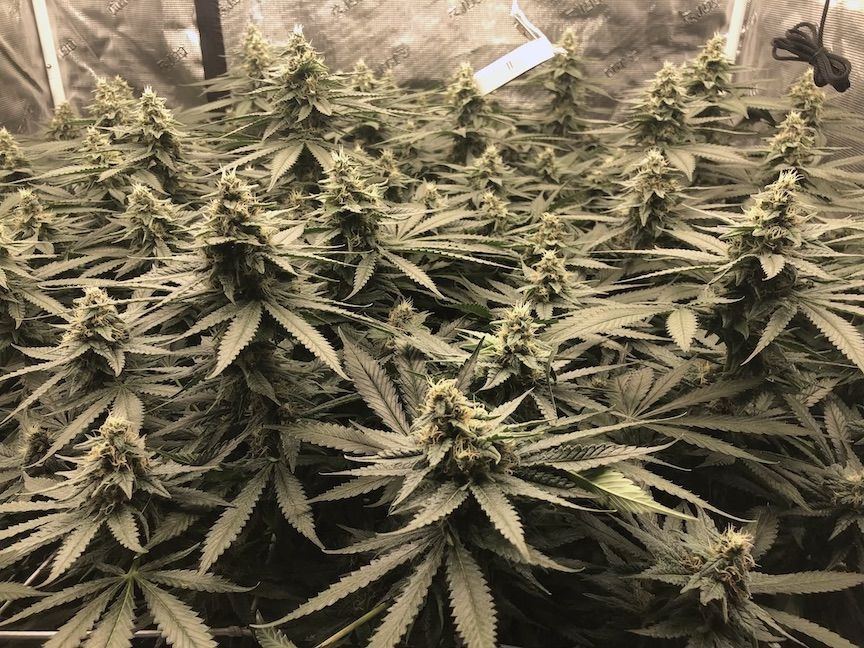 Day35 on