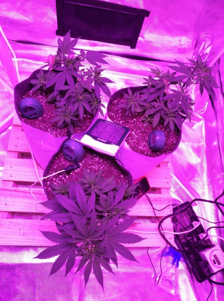 Day37