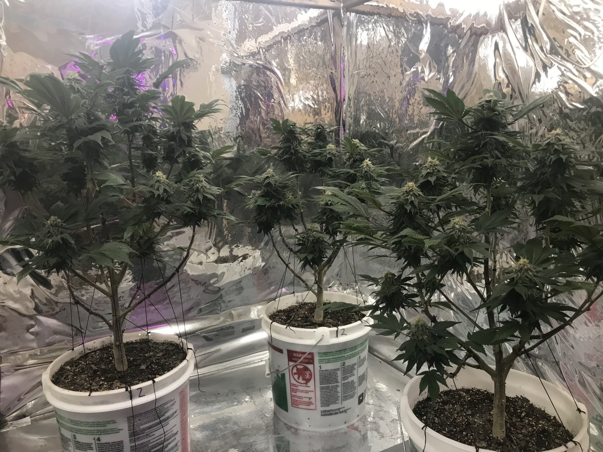 Day41 1