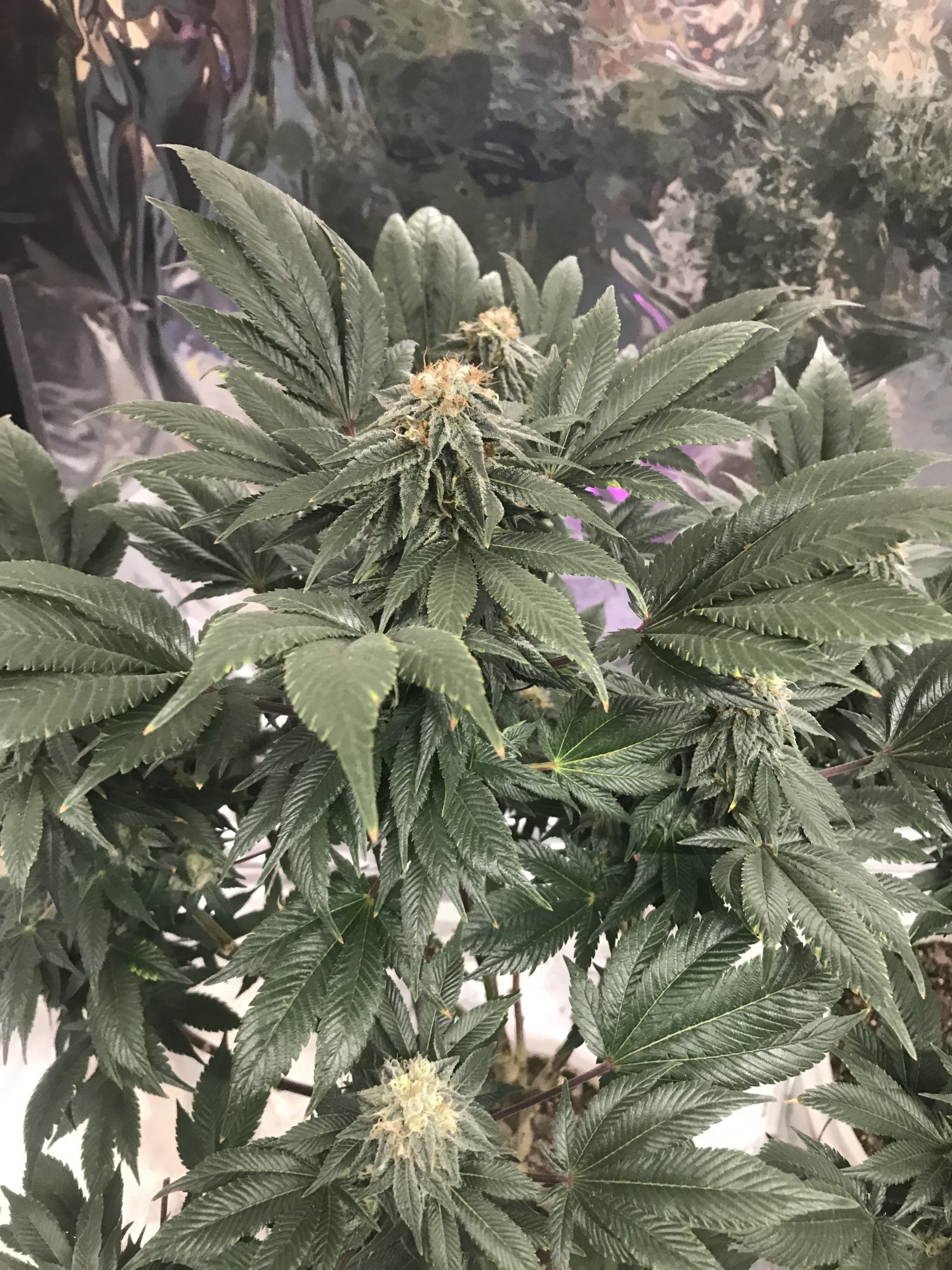 Day41 3