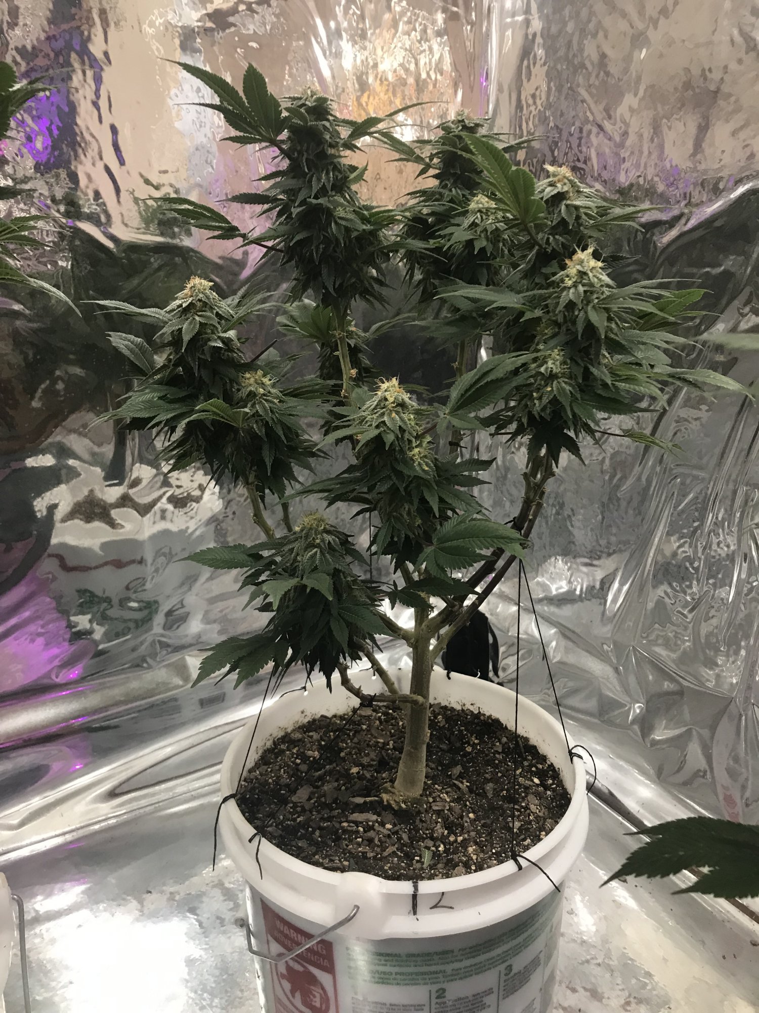 Day41 4