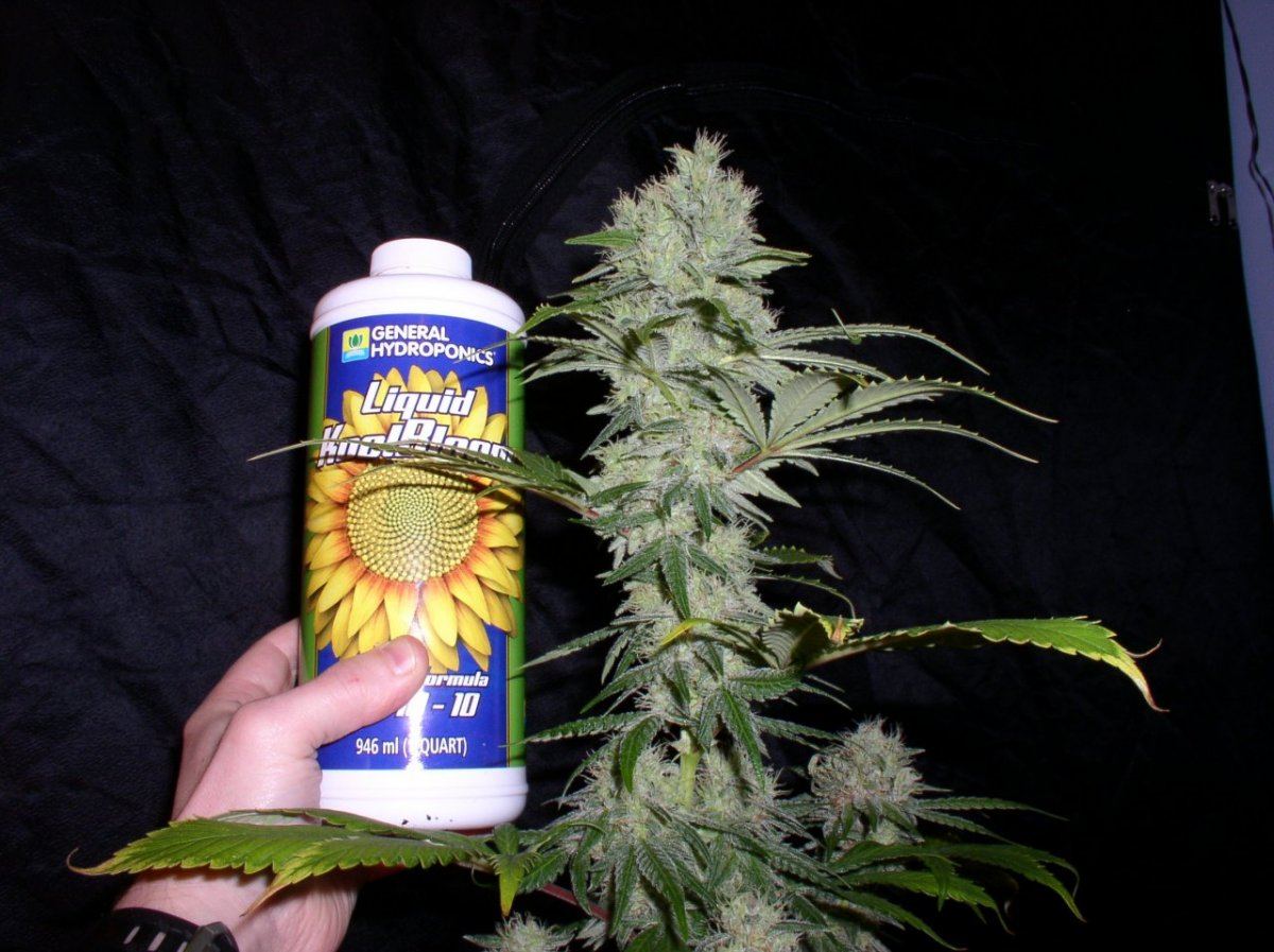 Day58Trainwreck2