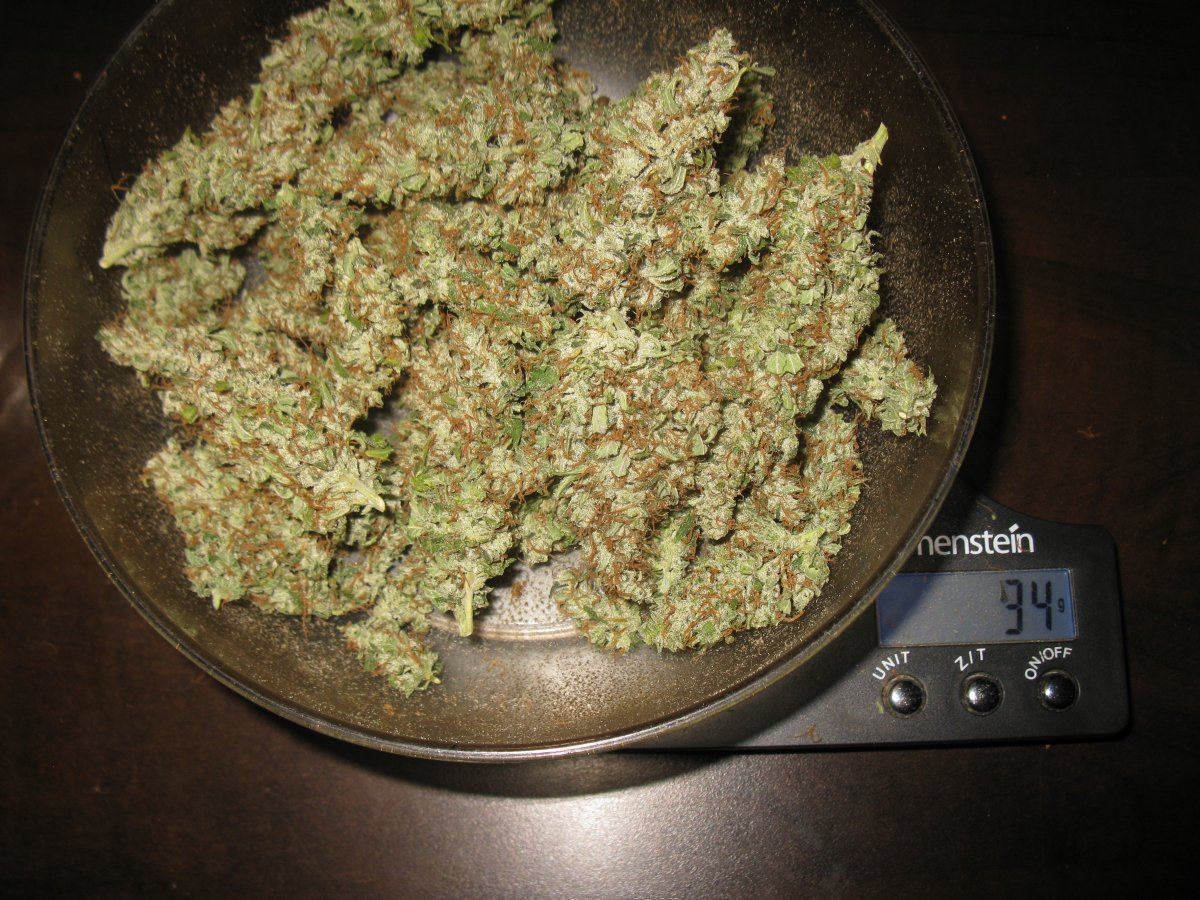 Dd haze 2 002