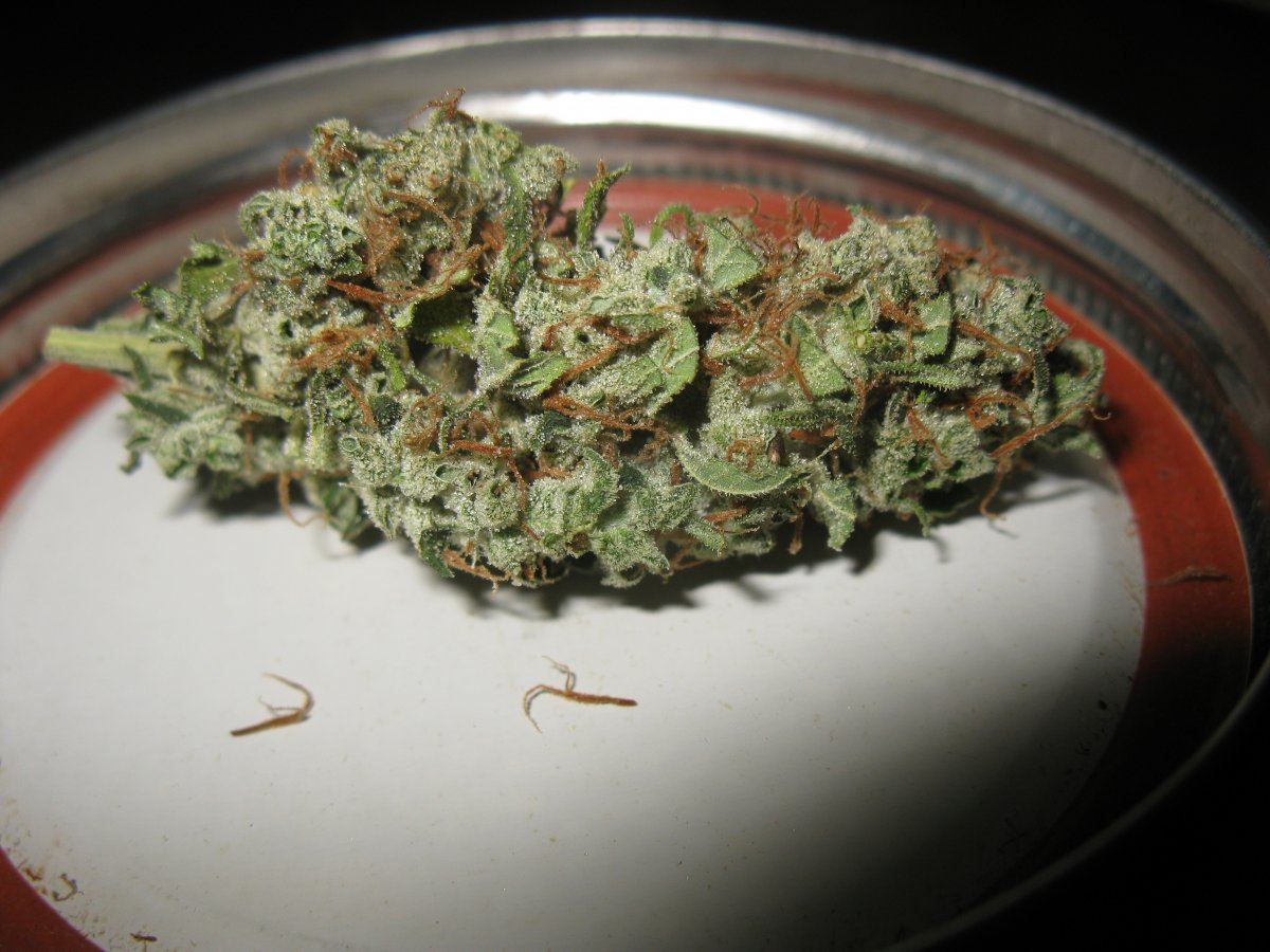 Dd haze 2 004