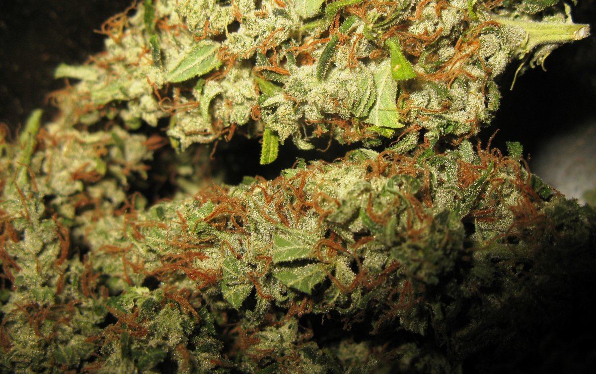 Dd haze 2 009