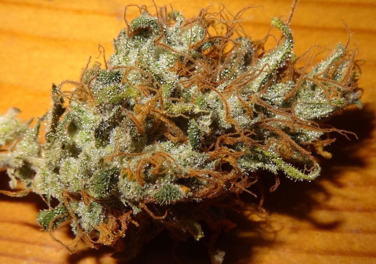 DD420
