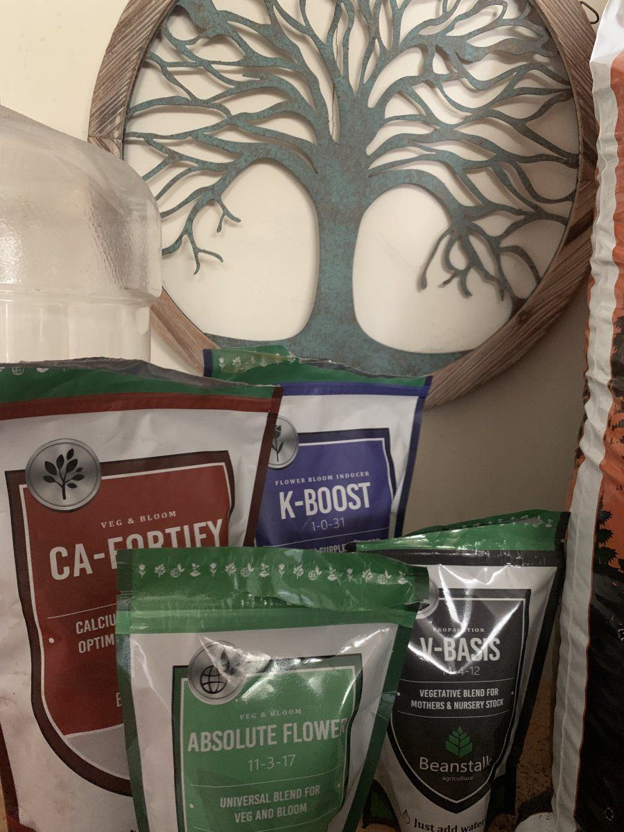 DDB003F3 8EAC 4CEB 9CF2 E5C4C4520508