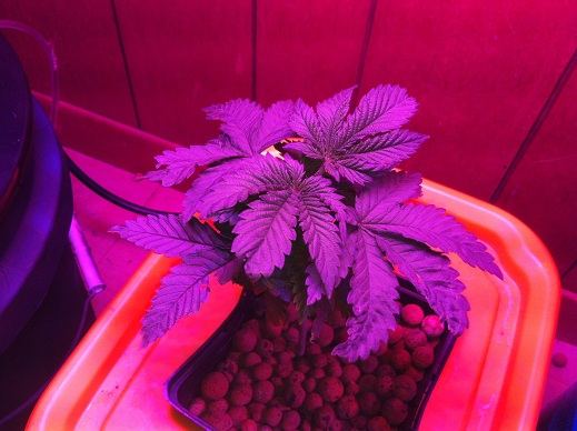 Deathstar