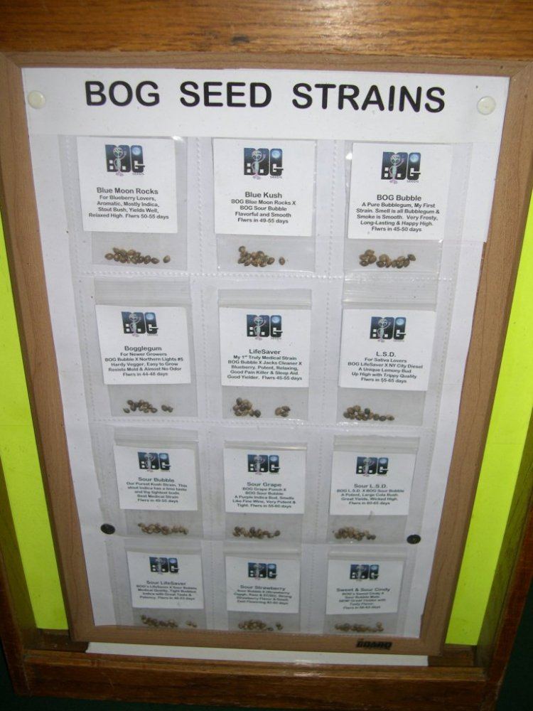 Dec 2013 New Seed Labels in Display Case