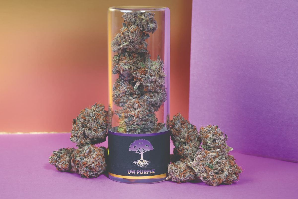 Dec2022 WA SOTM UWPurple