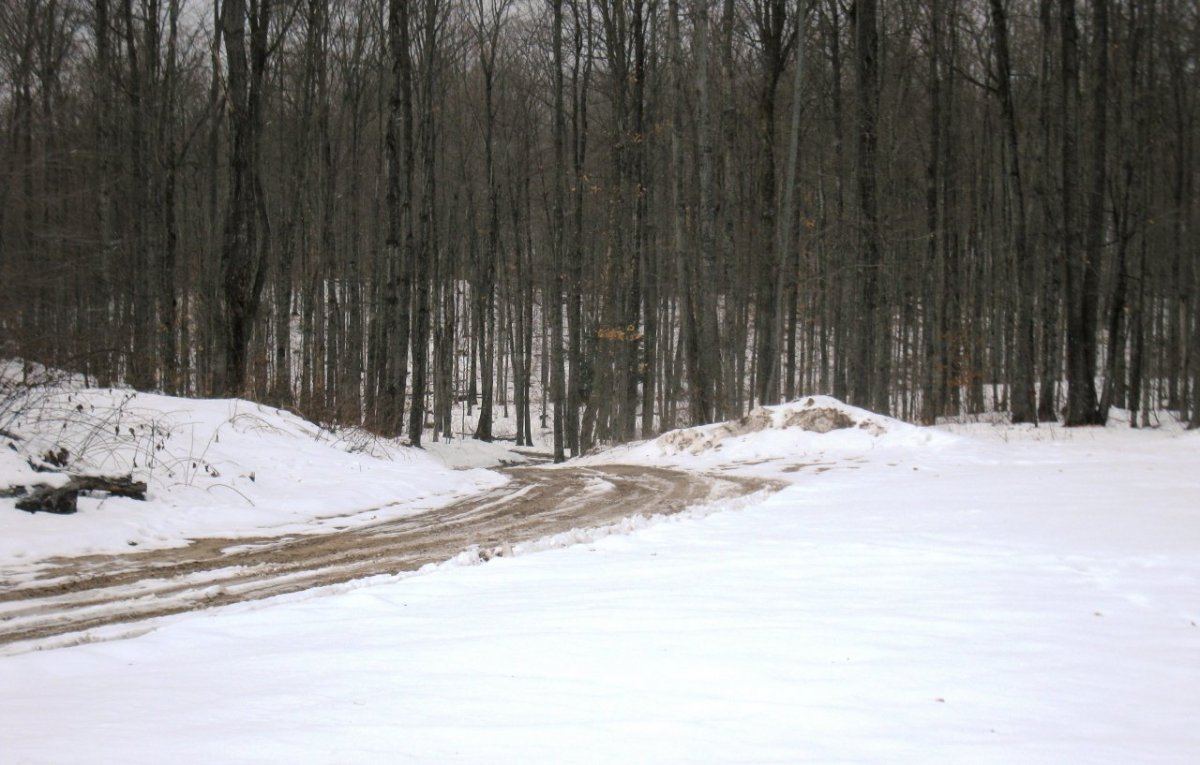 Deer camp  001