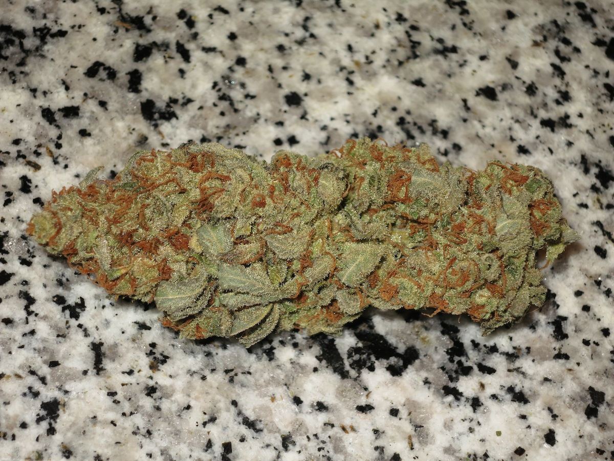 DEEZNUGG sf