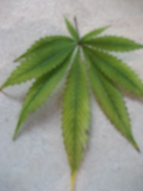 Deficiency 001